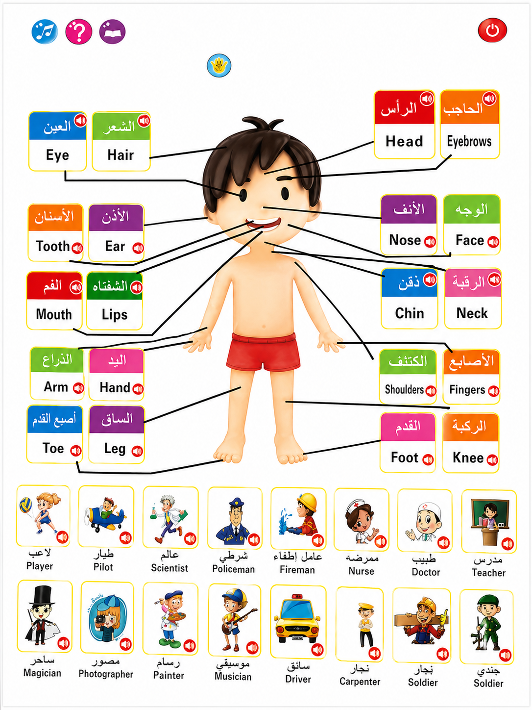 الكتاب الناطق التعليمي للأطفال (13 صفحة – عربي/إنجليزي) – تعلم تفاعلي بالصوت - الصورة 3
