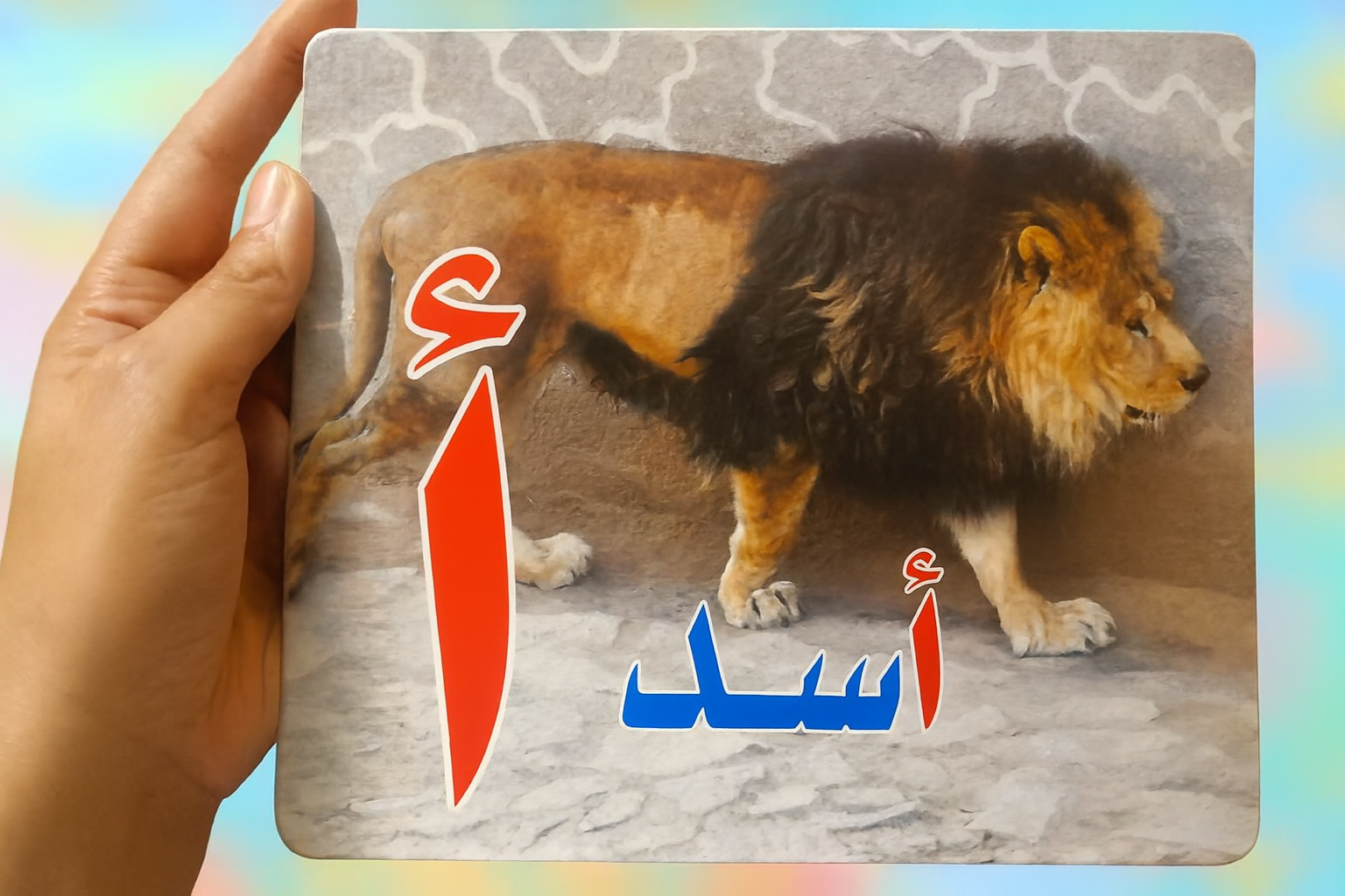 الأحرف العربية مع صورة حقيقية (ثيم الحيوانات)