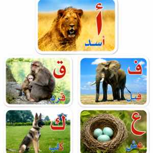 بطاقات الذكاء للحروف العربية مع صور حقيقية للحيوانات , بطاقات مستوحاة من منهج جلين دومان